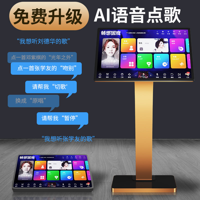 Luxury Home Ktv Karaoke Machine with Touch Screen All-In-One Home Karaoke Station with Amplifier and Speaker Set Karaoke Machine