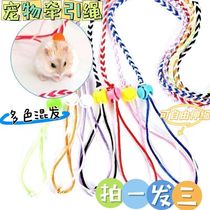 Golden bear running ball hamster traction rope squirrel rope golden bear squirrel guinea pig rabbit rope guinea pig small pet