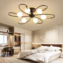 Nordic Ceiling Light LED Living Room Bedroom Light Modenn An