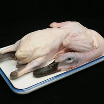 Black-billed shelduck 24 pounds per box 8 9 10 11 12 free-range eviscerated fresh frozen duck meat whole box