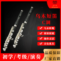 Short flute instrument Pure Uwood silver plated button Jixing instrument C Professional play