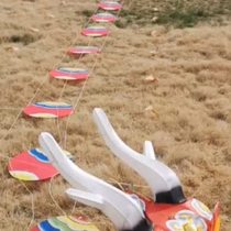 Dragon Head Centipede Kite Traditional Kite Corporate Event Competition Kite