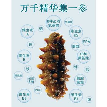 Dalian ready-to-eat liao sea cucumber picture restaurant decoration wall sticker paper picture inkjet poster liao cucumber fresh sea cucumber sticker