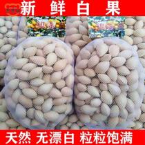 Fresh ginkgo fruit 1-5 catties ​​packed raw fruit white fruit shelled ginkgo fruit fresh