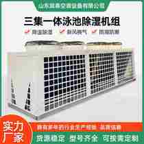 Tri-Integrated Swimming Thermostatic Dehumidifier Group Swimming Indoor Swimming Pool Indoor Swimming Pool Special Multifunction Dehumidification Pool Machine Use Group