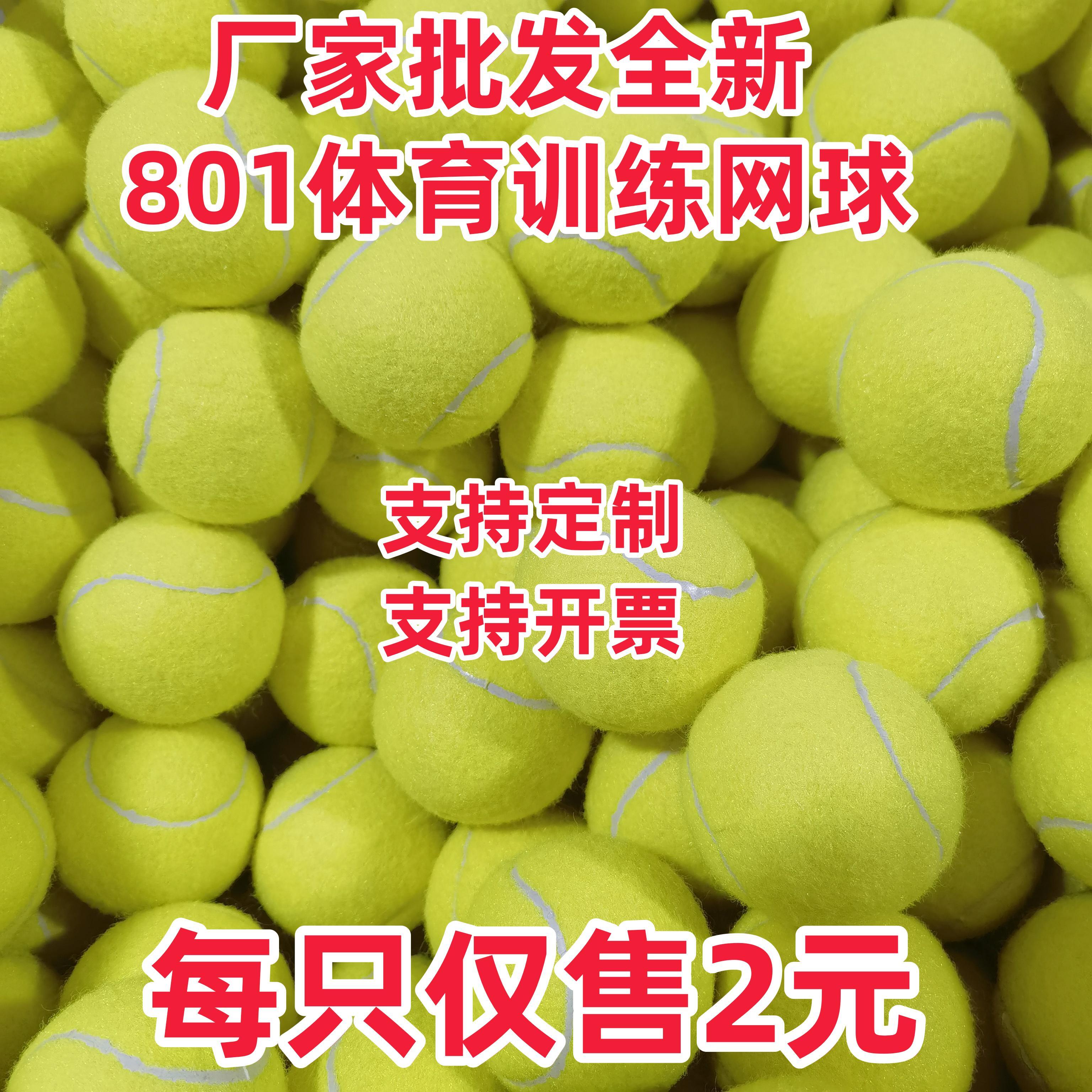 テニス大学生初心者用耐久性トレーニングテニス耐摩耗防爆ジュニア中級競技専用マッサージペットボール