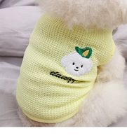 Солнечный теплый желтый