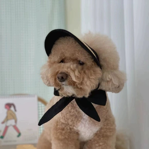 Щенок Sun Sun Hat Hat Hat Dog Dog Summer Sun Hat, корейский милый кот рыбак, шляпа соломенная шляпа шляпа шляпа