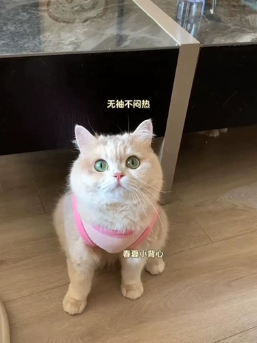 Мятный летний шнурок-держатель, тонкий жилет