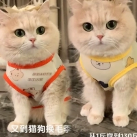 Комплект, с медвежатами, популярно в интернете