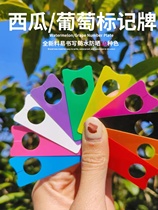 Plant label Grape Mark grapes Grape Mark Kagua Fruits Mark Cards Watermelon Mark of the Month season Ring buckle Label