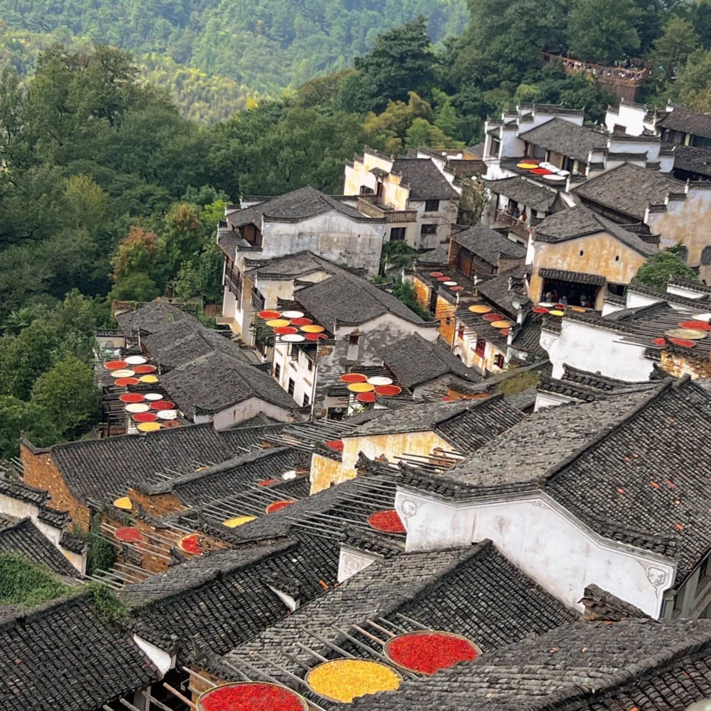 江西旅游5日游，南昌九江上饶景德镇庐山婺女洲篁岭望仙谷陶瓷三宝村，怎么安排最合理？-境内跟团游-淘宝好物网