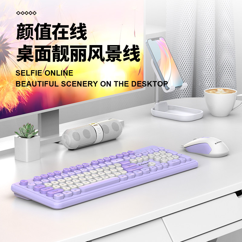Viper Km200 Wired Keyboard and Mouse Set for Laptop, Home Office, Silent, Cute Keyboard and Mouse for Girls