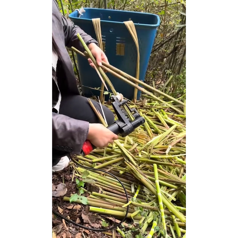 Electric Bamboo Shoot Peeling Machine, Lithium Battery Portable Model, Free Shipping Nationwide, New Product