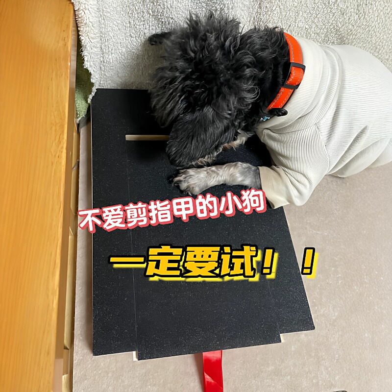 【Dog Nail Trimming Tool】Wooden Dog Scratching Board with Pull-Out Food Box, Nail Scraper, Multifunctional Claw Grinding Board