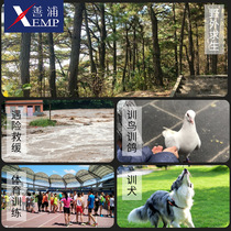 Whistle C1P60-Whistle Sports Mountaineering Outdoor Camping Survival Sports Basketball Football Training Coach Double