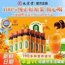 Jiuzhitang sea buckthorn puree 500ml