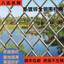 Ecran Silk de fer galvanisé Élevage de protection Fence Fence Outdoor Wire Mesh Orchard Fish Pond Seductive Nets CHICKEN IRON NET