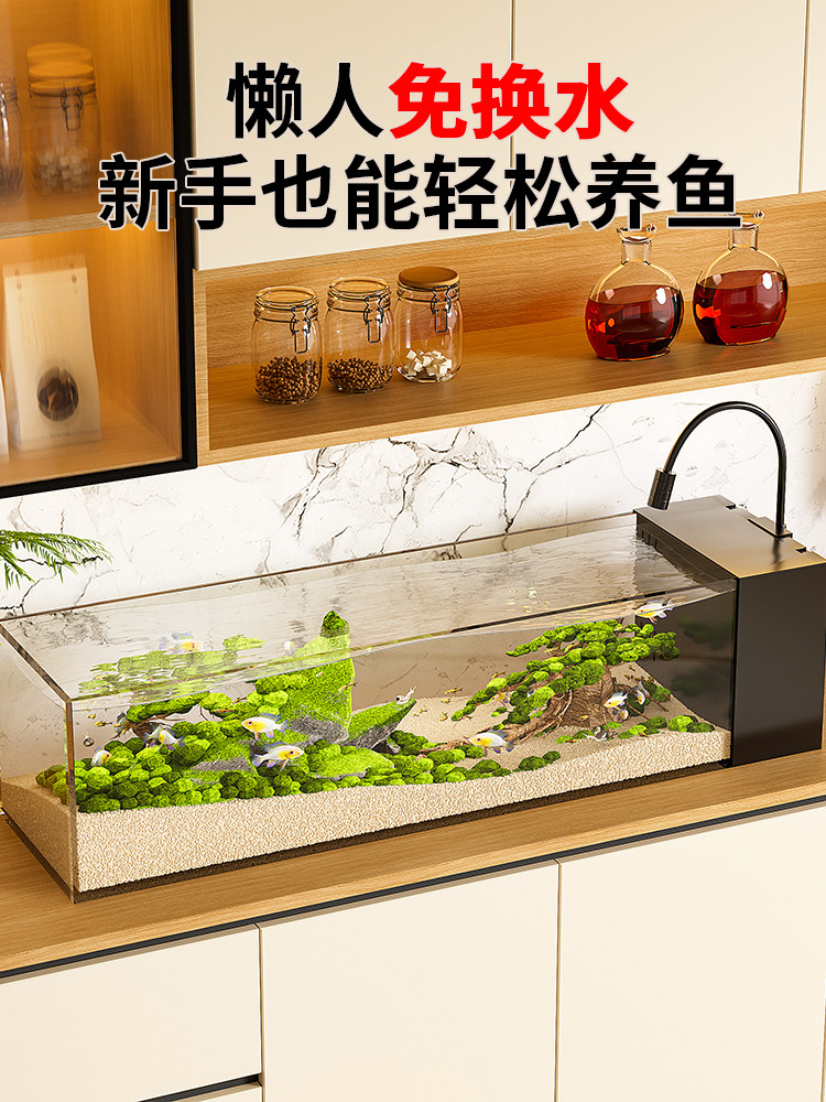 2025 New Ultra-Clear Glass Fish Tank, Small Living Room Ecological Landscaping, Filtration and Oxygenation All-In-One Machine, Side Filter Stream Tank
