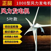 Turbine éolienne solaire dextérieur équipement de production dénergie domestique haute puissance AC 220 volts nouvelle collection