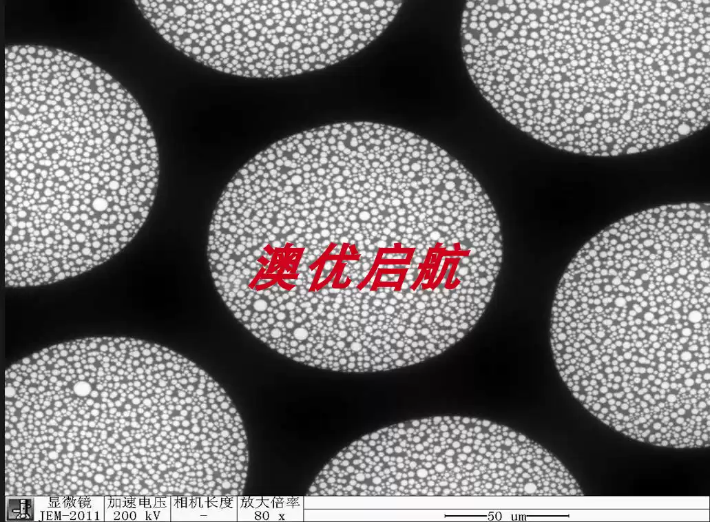 TEM300目座標銅網微柵膜定位微柵碳膜座標定位石墨微柵支持膜包郵-淘寶Taobao | 天貓Tmall