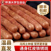 Jiaozuo Wen County black-bone chicken soil red skin iron bar yam fresh Henan Huaiyam 5 pounds authentic Huaishan Yueshan Yam