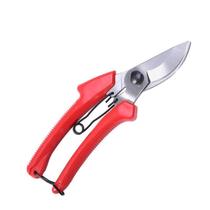 Bonsai flower tools flower cutting scissors flower and fruit tree cutting gardening vineyard cutting flower cutting grafting length