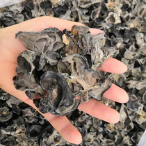 Xinjiang new arrival Baicheng black fungus 500g bagged thick meat dry goods authentic small bowl fungus cold stir-fry