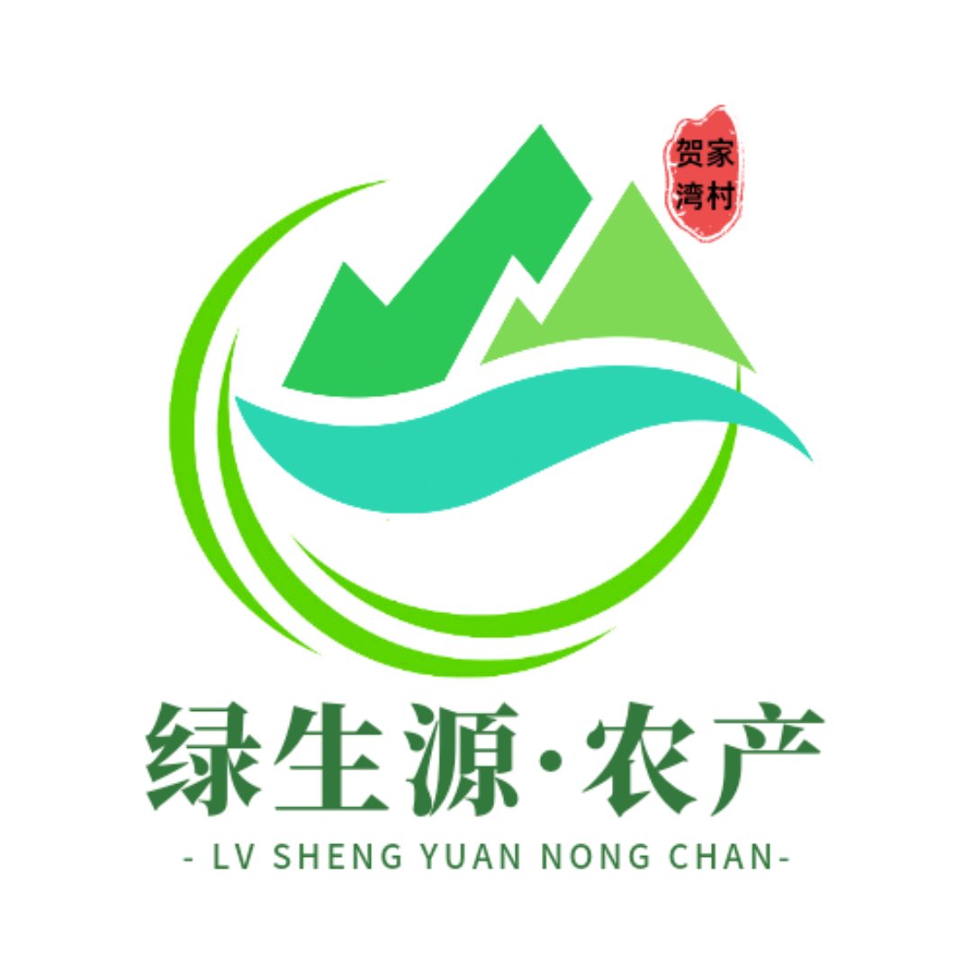 陕西绥德县沙地红薯