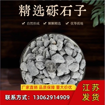 Jiangsu 50 pounds dark gray black landscape gravel washed stone Japanese courtyard paving landscaping bluestone gravel rice