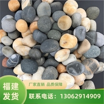 Fujian natural pebble stone paving stone fish tank goose soft stone home decoration paving stone fish tank bonsai boutique