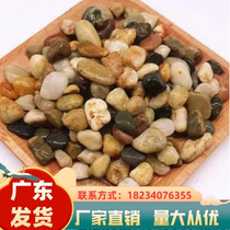 Guangdong Natural Colorful Pebble Paved Scenery Rainfored Stone Soft Stone Garden Stone Stone