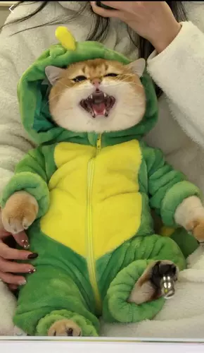 Милый динозавр, удерживающая тепло фланелевая высококачественная пижама с молнией, кот, домашний питомец