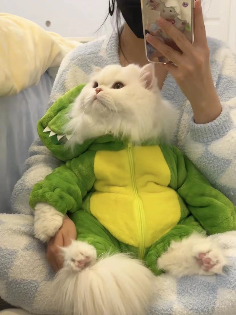 Small Dinosaur Cute Kitty Sleepwear Pets Winter Warm Flange Suede Stall Zipper Animal High Face Value One-piece Dress-Taobao