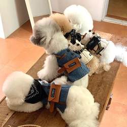 Cat Clothes Thin Chest Cat Dog Clothes Thin Denim Cartoon Traction Dress Small Size Dogs Spring and Summer New Product