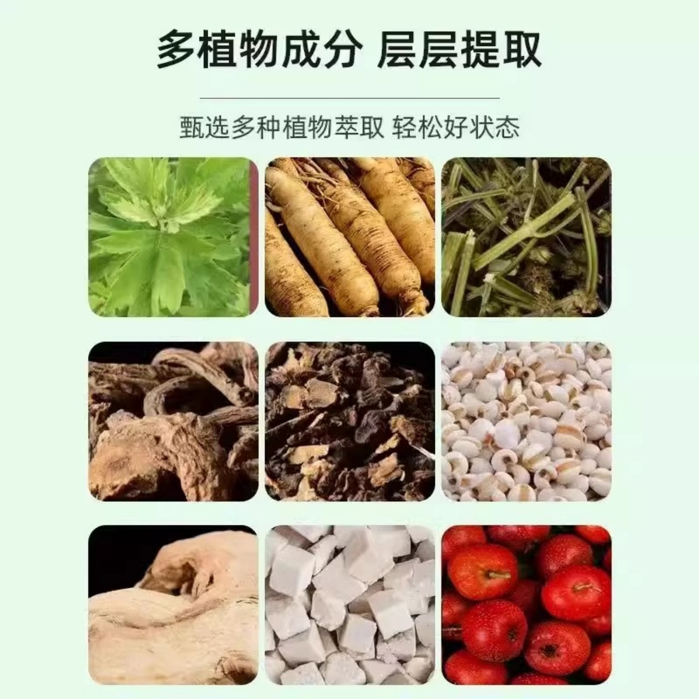 2026懒人最爱！正品肚脐吸油贴瘦肚子真的有效吗？