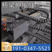 Bridge expansion joint C40F60D80160240E type modular device RG special-shaped steel bridge deck sidewalk highway