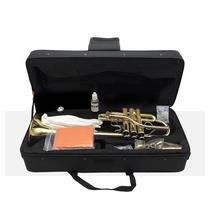 Fall E minor number D modulation minor number beginnics playing brass instruments adult children universal with bags