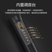 Universal wireless microphone U segment FM one to two TV audio mobile phone computer karaoke bluetooth microphone with reverb