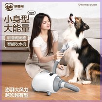 Pet hair dryer dog hair dryer high-power silent hair dryer for large dogs and cats.