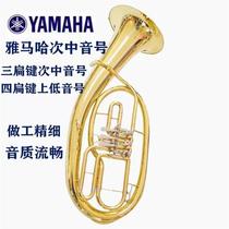 Euphonium three flat keys and four upright keys alto bass large horn small horn B flat
