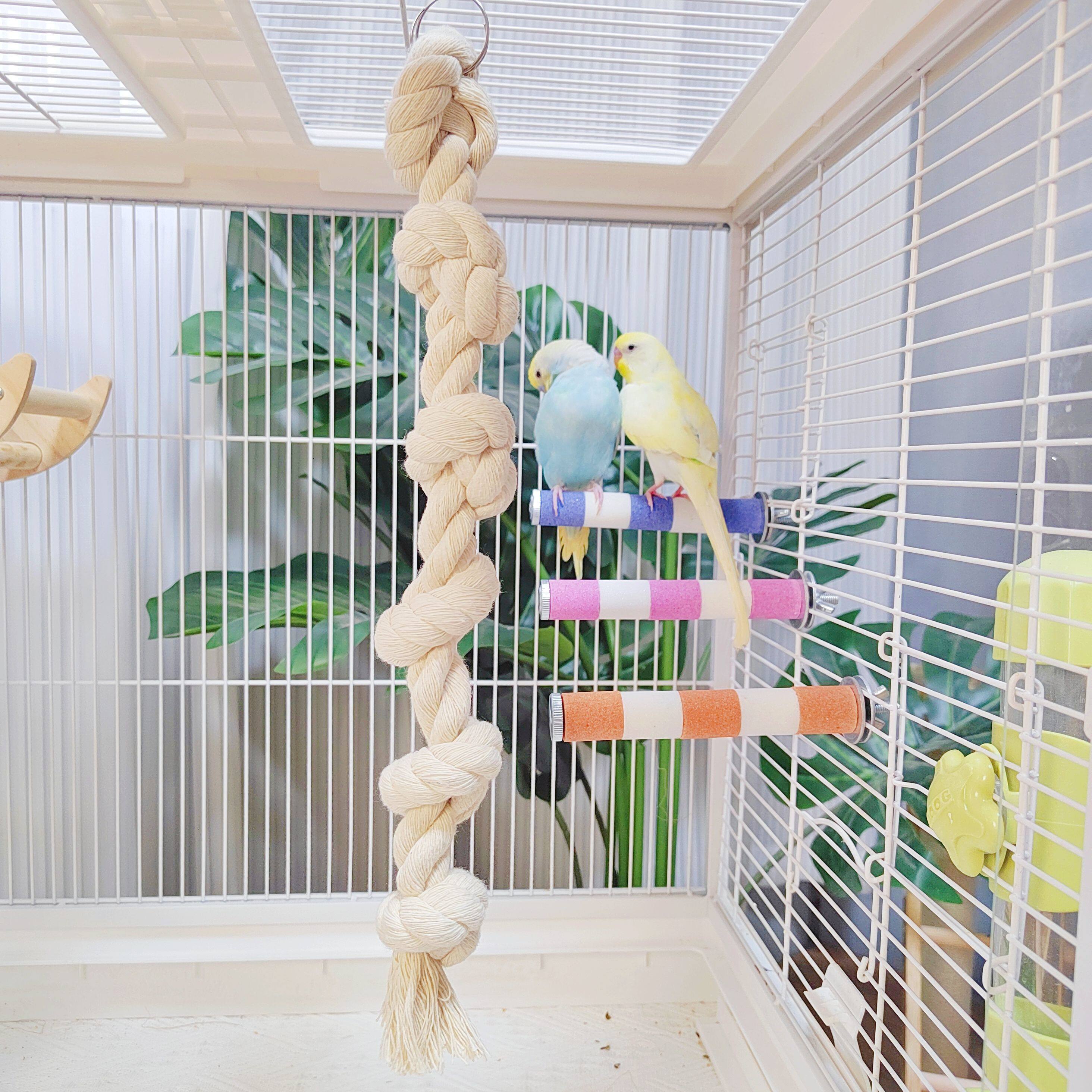 Upgrade your pet's toys and completely transform their parrot cage ...