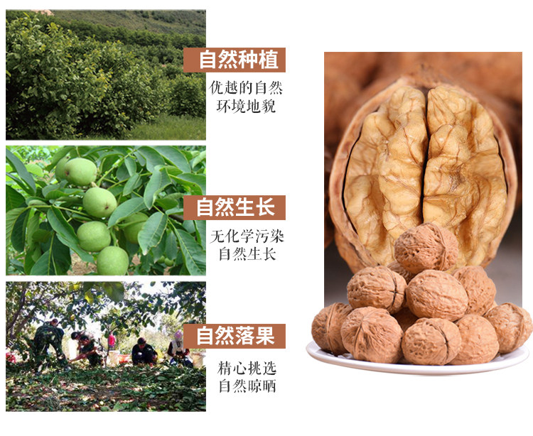 Yunnan Walnut_05.jpg