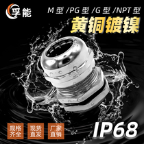 Factory direct sales brass nickel-plated M-type metal cable waterproof connector Ge Gland head IP68 fixed waterproof seal