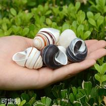 Natural white snail white field snail shell conch hermit crab replacement shell made for fish tank