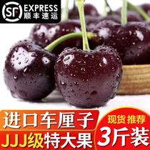 American cherries 4J imported fresh fruit large cherries in stock 2 pounds for pregnant women seasonal SF gift box 5 pounds
