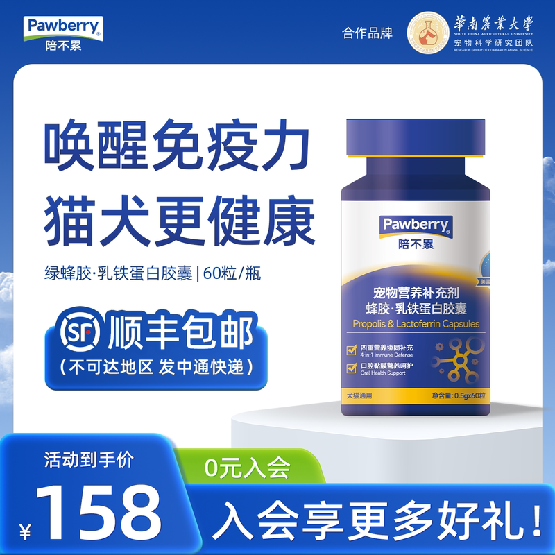 Green Propolis Lactoferrin Capsules for Cats and Dogs with Low Resistance to Illness and Physical Weakness Green Propolis Lactoferrin Capsules for Cats and Dogs with Low Resistance to Illness and Physical Weakness