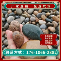 Heilongjiang supplies 5-8 cm transformers for substations and cobblestone river pebble filter materials for tree pit filling.