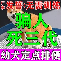 (Positioning that night) Dog fixed-point defecation inducer guides pets to go to the toilet dog urinating pad artifact