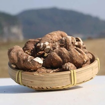 Yunnan local product Gaoligong Mountain Chonglou 500g